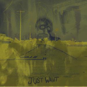 อัลบัม Just Want ศิลปิน Conduit