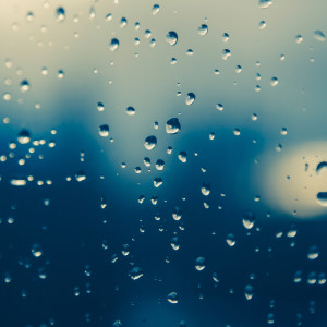 Dengarkan Rain in the Forest lagu dari Sleep Sounds of Nature dengan lirik