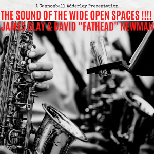 Album The Sound of the Wide Open Spaces !!!! from 