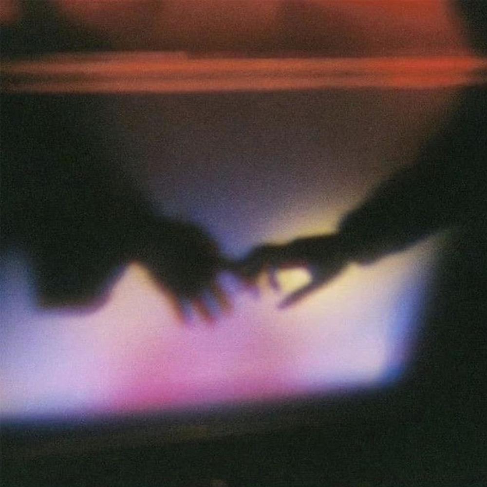 fall for you (Explicit)