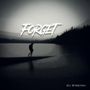 ดาวน์โหลดและฟังเพลง FORGET พร้อมเนื้อเพลงจาก Dj Stretch
