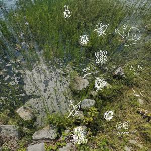อัลบัม buglife (Explicit) ศิลปิน Taylor Morgan