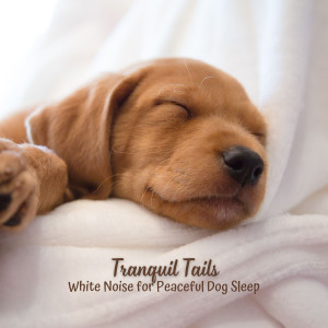 Album Tranquil Tails: White Noise for Peaceful Dog Sleep oleh White Noise Radiance