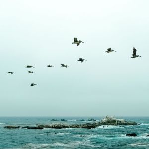 Listen to Lazy River song with lyrics from Massage Therapy Music