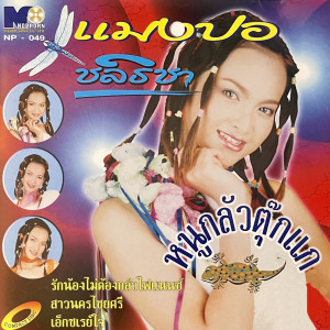 ดาวน์โหลดและฟังเพลง หนูกลัวตุ๊กแก พร้อมเนื้อเพลงจาก แมงปอ ชลธิชา