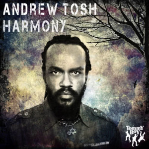 收聽Andrew Tosh的Harmony (Crazy Vocal Dub)歌詞歌曲