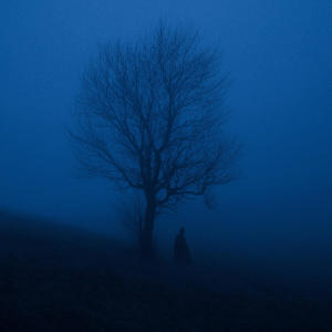 Liminal的專輯Descent
