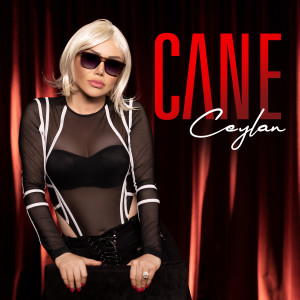 ดาวน์โหลดและฟังเพลง Cane พร้อมเนื้อเพลงจาก Ceylan
