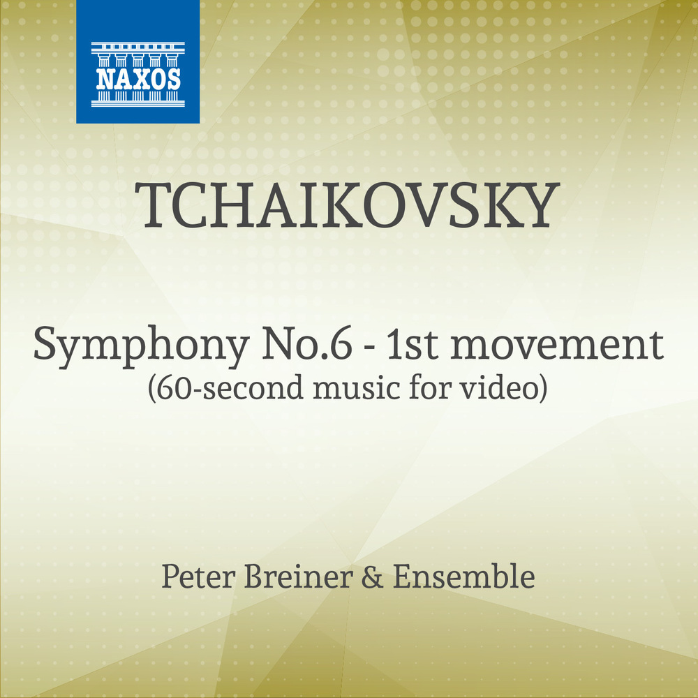 Symphony No.6 - 1st movement (60 sec Version for Tiktok)