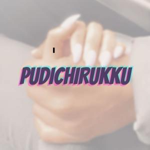 收聽Naveena的Pudichirukku (Reprise)歌詞歌曲