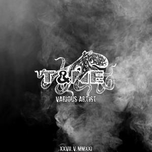 Listen to Descent Cellar song with lyrics from MTRZ