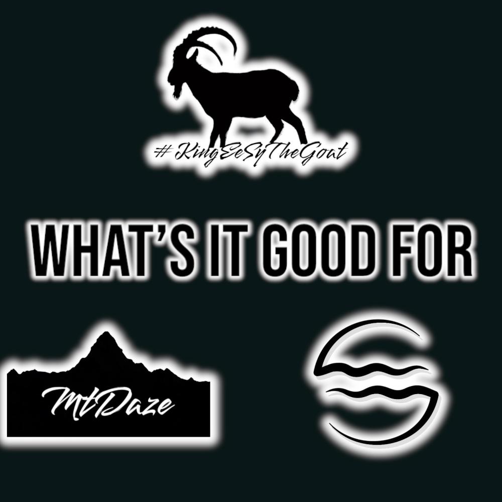 What's It Good For (feat. MT Daze & Joe Bruce) (Explicit)