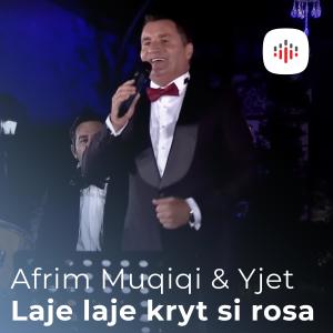 ดาวน์โหลดและฟังเพลง Laje laje kryt si rosa พร้อมเนื้อเพลงจาก Afrim Muqiqi