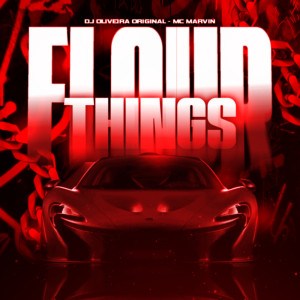 Album FLOUD THINGS (Explicit) from DJ OLIVEIRA ORIGINAL