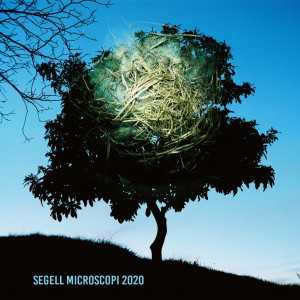 Varis artistes的專輯Segell Microscopi 2020