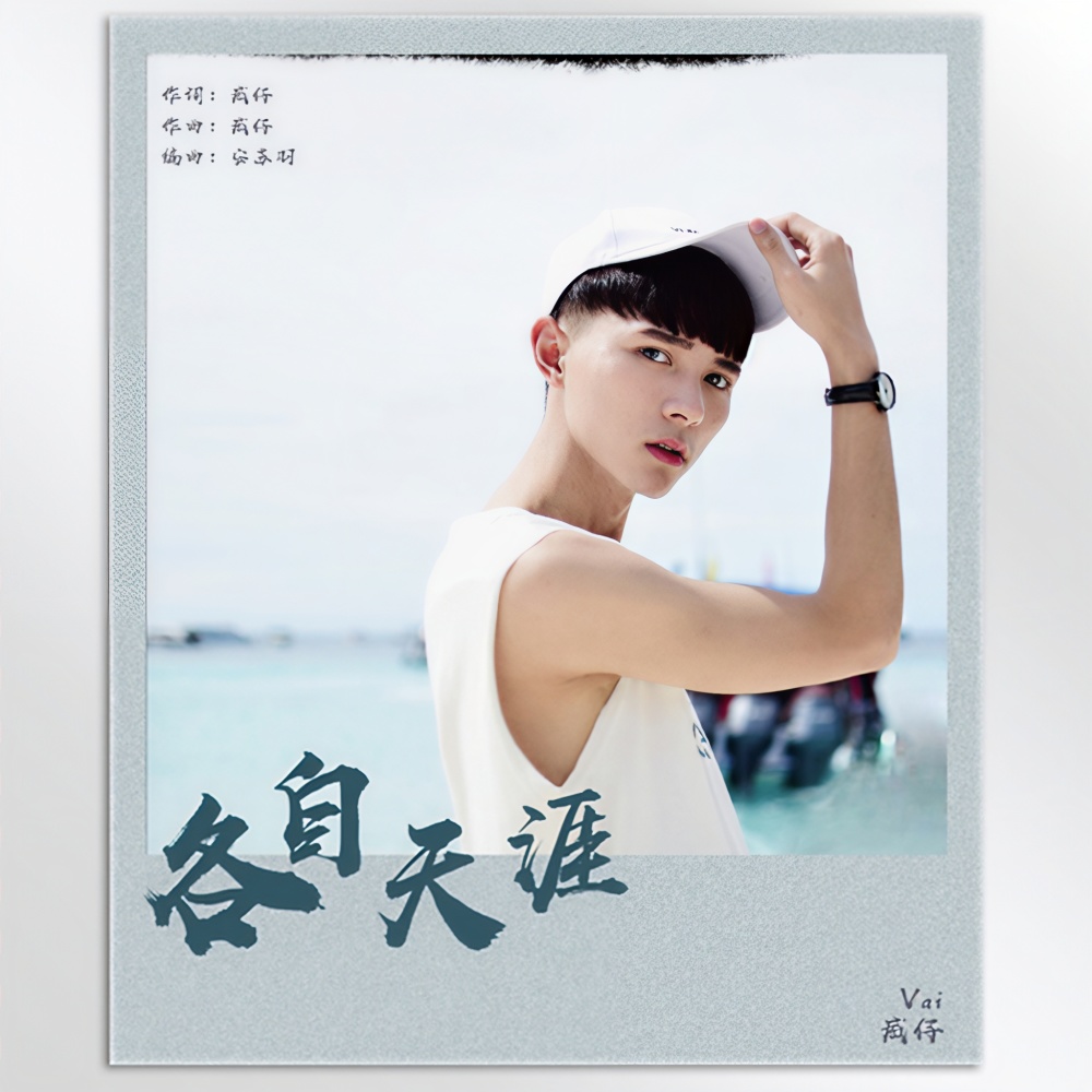 各自天涯 (伴奏)
