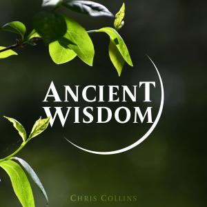 อัลบัม Ancient Wisdom ศิลปิน Chris Collins