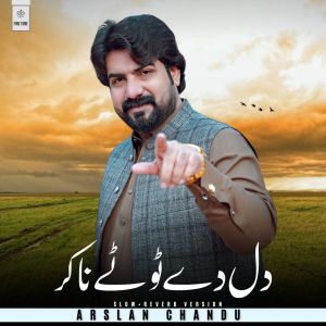 Listen to Dil Dy Toty Na Kar (Slow+Reverb Version) song with lyrics from Arslan Chandu