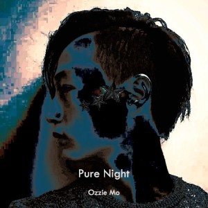 Dengarkan Pure Night lagu dari 墨斗 dengan lirik