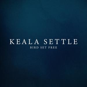 ดาวน์โหลดและฟังเพลง Bird Set Free พร้อมเนื้อเพลงจาก Keala Settle