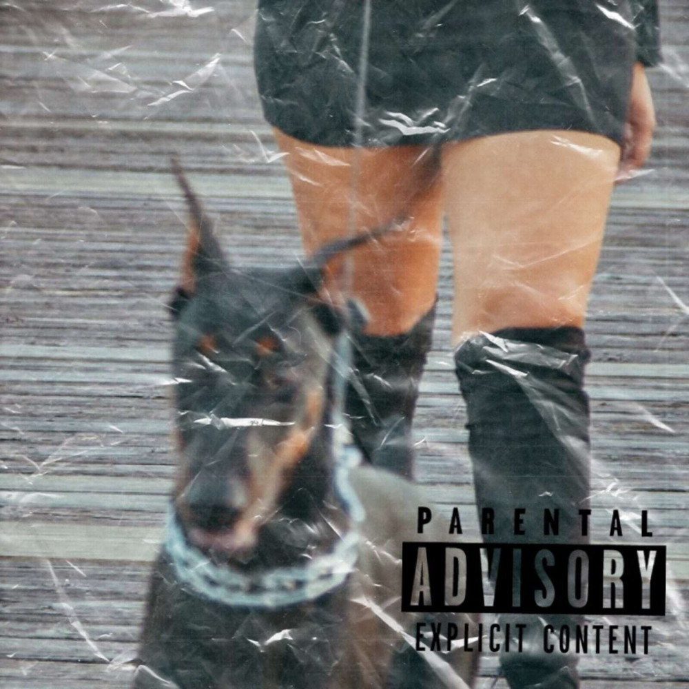 Unfit Bitch (Explicit)