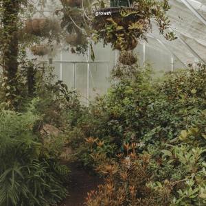 Listen to Gone song with lyrics from Honshu Lo fi