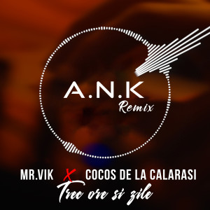 Album Trec Ore Si Zile (A.N.K Remix) from Mr Vik