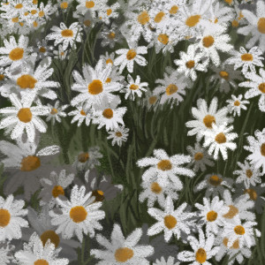 Listen to Flowery (Acoustic Version) song with lyrics from Plastic Cavern