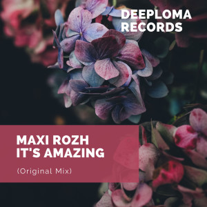 Listen to Hit It (Original Mix) song with lyrics from Maxi Rozh