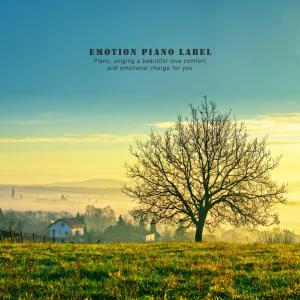 Various Artists的专辑A faint emotional piano that falls in love memories