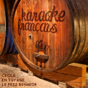 Karaoke - Français, Vol. 17