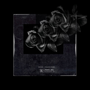 Dengarkan lagu Black Roses (Explicit) nyanyian Ironic dengan lirik