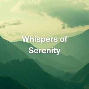 อัลบัม Whispers of Serenity ศิลปิน Sounds Of Nature : Thunderstorm