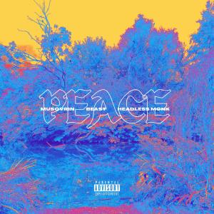 อัลบัม Peace (Explicit) ศิลปิน musovrin