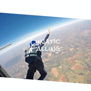 Various的专辑Lunatic Falling