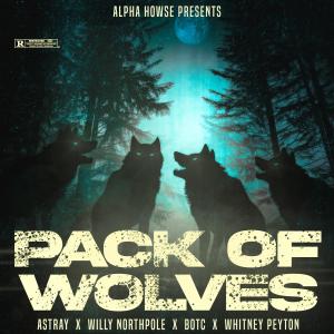 Bag of Tricks Cat的專輯Pack Of Wolves (feat. Bag of Tricks Cat) [Explicit]