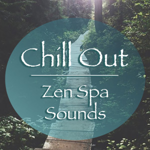 Album Chill Out Zen Spa Sounds from Spirit