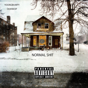 Listen to Normal Shit (Explicit) song with lyrics from Youngbumpy