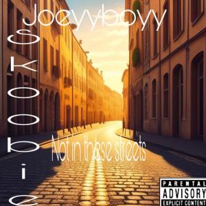 JOEYYBOYY的專輯Not In These Streets (Explicit)