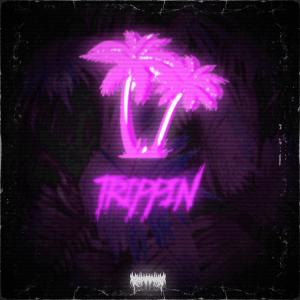 Listen to Trippin song with lyrics from Obscuremane