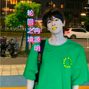 Listen to 轮回之境 (cover: 夏朵朵) (完整版) song with lyrics from 冉源明