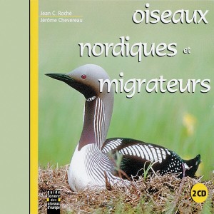 ดาวน์โหลดและฟังเพลง Parrot Crossbill พร้อมเนื้อเพลงจาก Parrot Crossbill