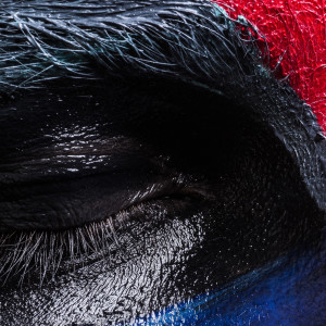 Listen to Alligator (Explicit) song with lyrics from ATOM.LV