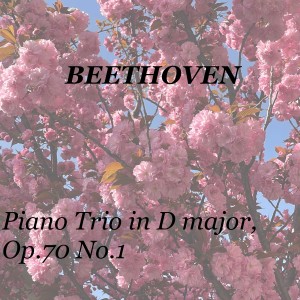 Hephzibah Menuhin的專輯Beethoven: Piano Trio in D Major, Op.70 No.1