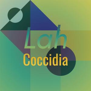 Lah Coccidia dari Various