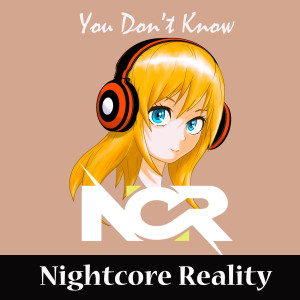 Listen to You Don't Know song with lyrics from Nightcore Reality