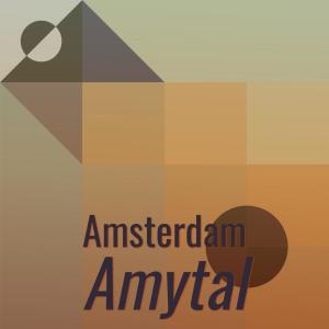 Listen to Amsterdam Amytal song with lyrics from Jero Paan