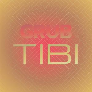 อัลบัม Grub Tibi ศิลปิน Various