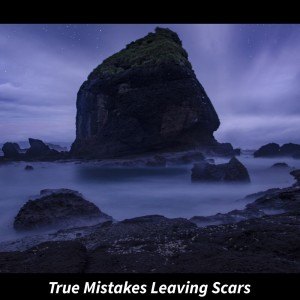 Javier的專輯True Mistakes Leaving Scars