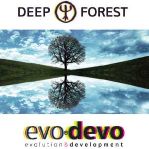 Dengarkan Somewhere lagu dari Deep Forest dengan lirik